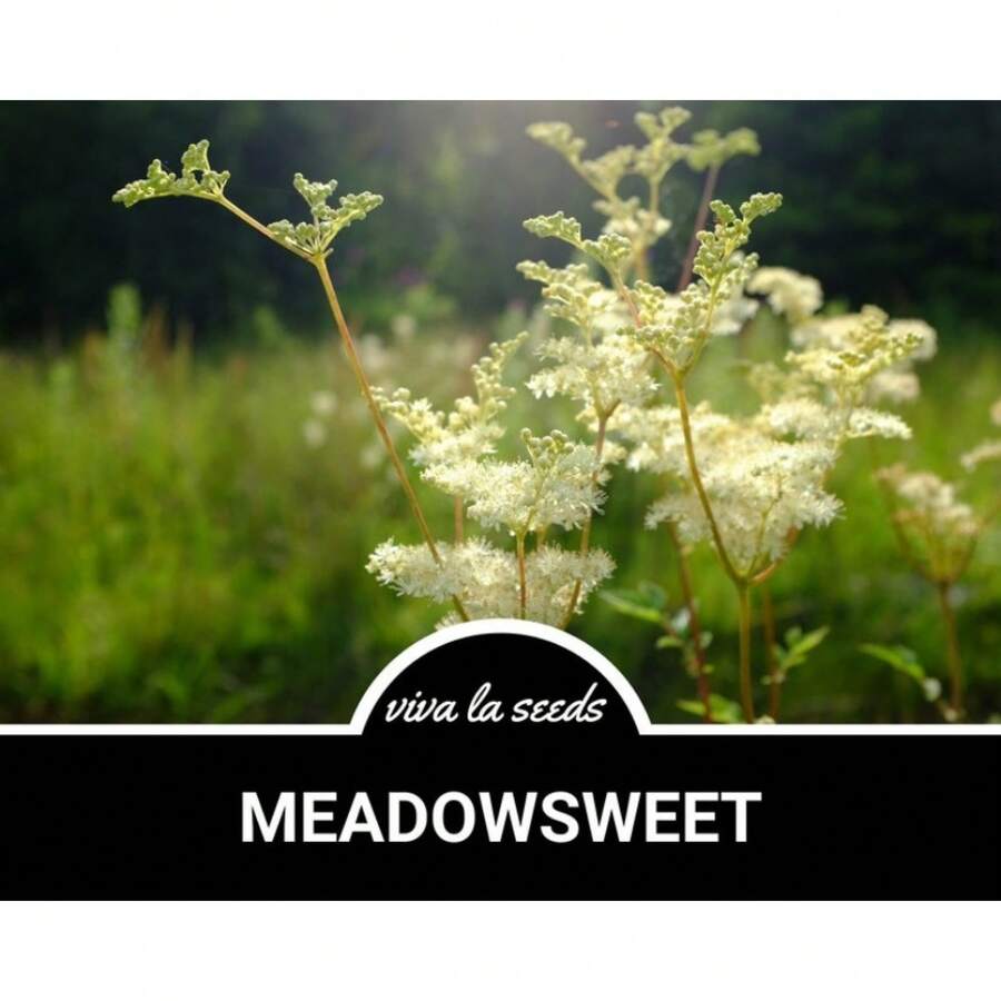 Flower Seeds - View 1