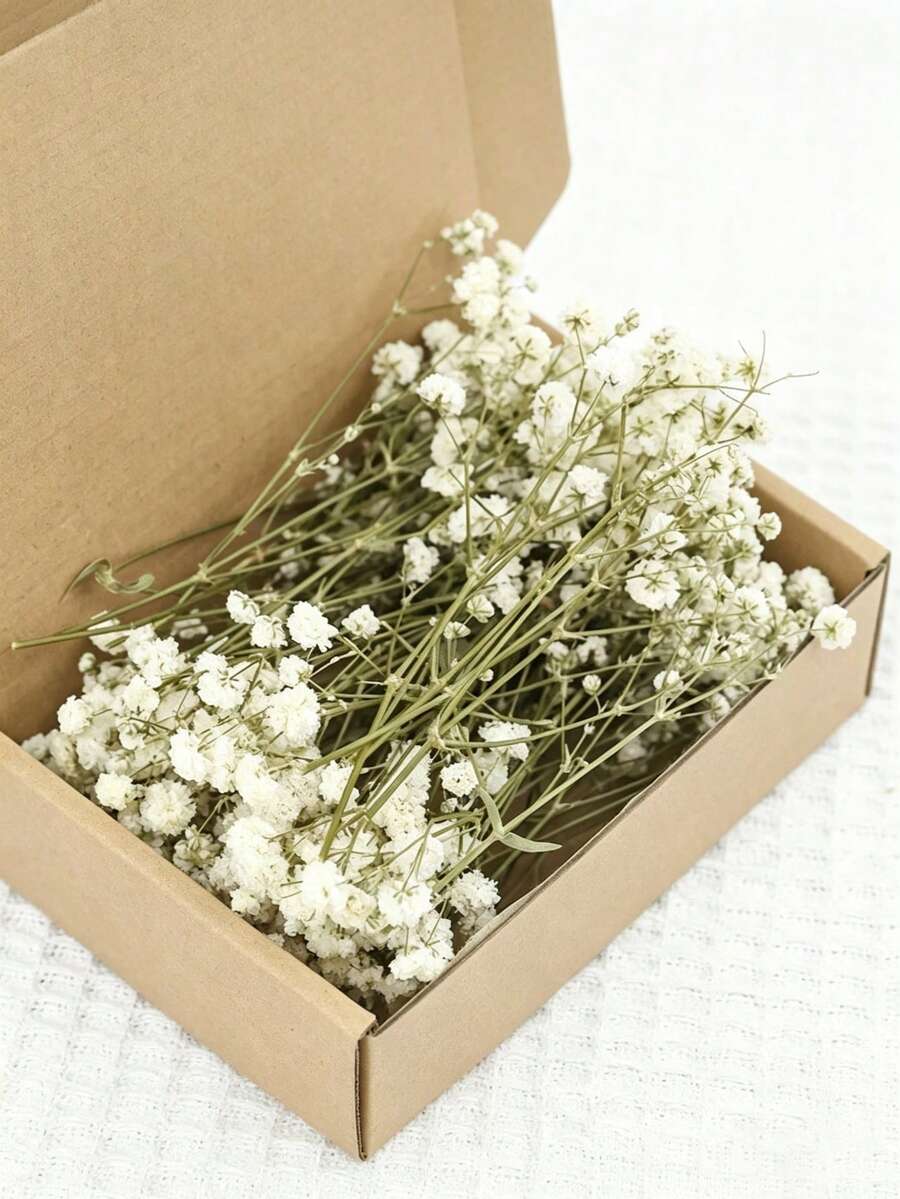 50朵人造純白色雛菊花 - 精緻且易於DIY，適用於婚禮、家居與辦公室裝飾、派對與花園 - 桌上波西米亞花環、花束、庭院裝飾、懸掛花卉，無羽毛，無電力，適用於聖誕節、玫瑰