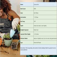 Flower Seeds - View 2