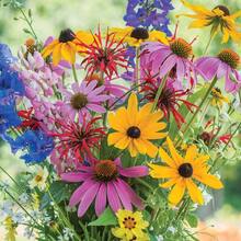Flower Seeds - View 2