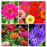 Flowers, Plants and Seeds