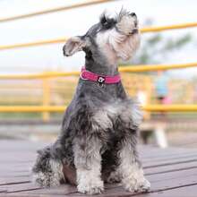 Reflective Dog Collar,Soft Neoprene Padded Pet Collar With ID Tag Ring,Adjustable For Small Dogs,Hot Pink,S - Red - View 5