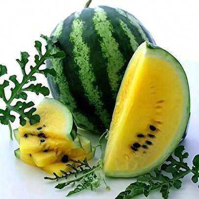 284 --Pcs Rare Flowers Are Easy To Grow, Have A High Germination Rate, Yellow Gemstone Watermelon Seeds, No Genetic Modification, Bright Colors And A Very Sweet Taste--Fruit Tree Seeds