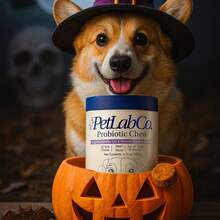 Pet Probiotic Chews, Support Intestinal Health, Nutritional Supplement, Promote Digestion And Absorption, Suitable For All Dog Breeds, Enhance Immunity, Support Hairball Elimination, Halloween Limited Time Offer - View 3