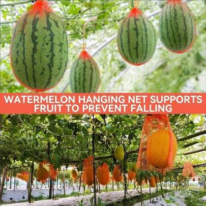50 chiếc lưới đỡ dưa hấu - Giá treo bền chắc cho dưa hấu, thích hợp cho vườn nhà, túi lưới tái sử dụng, hoàn hảo cho dưa hấu, cấu trúc hỗ trợ lý tưởng.