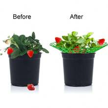 Bộ 6/10 giá đỡ cây dâu tây, giá đỡ cây dâu tây có 3 chân chắc chắn, giá trồng dâu tây, khung giữ cây dâu tây, giúp giữ cho cây dâu tây sạch sẽ. - giàn dâu tây - Xem 3
