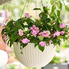 2pcs Double-Layer Hanging Baskets With Drainage Grooves, Honeycomb Pattern Design, 7 Color Options Available. Includes Plastic Flower Pot Hooks For Easy Installation. Suitable For Indoor And Outdoor Use. Made Of Durable Plastic Material, An Ideal Gift. - Flowerpot - View 11