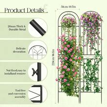 Metal Garden Trellis 220x50cm For Climbing Plants Vines Flowers Vegetables - 2 - 查看 3