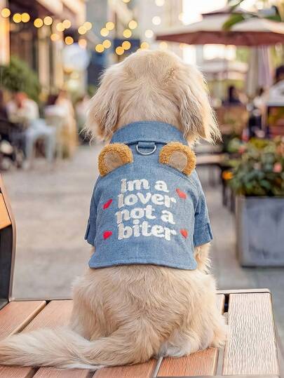 PETCIRCLE 1 bộ quần áo cho thú cưng, trang phục ngoài trời và trong nhà, kiểu Châu Âu và Hàn Quốc dành cho chó Poodle, Teddy, chó nhỏ và chó con, trang phục thường ngày thoải mái.