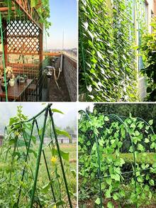 Plant Climbing Net, Cucumber Trellis Net, Thickened Support Mesh, Anti-Collapse Net, Vine Planting Net, Provides Sturdy Support For Climbing Vegetables And Vines, Green Plastic Net, Suitable For Cucumber, Tomato, Vegetables - Multicolor - View 5