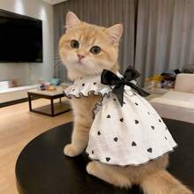 春夏宠物服装及用品，适合泰迪犬、比熊犬、博美犬等犬猫。特色包括可爱的爱心主题狗狗服装。 - 黑與白 - 查看 9