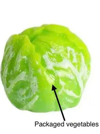 New Mini Resin Cabbage Ornament Mini Fence Shovel Set Micro Landscape DIY Decor Accessories Dollhouse Farm Scene Layout Simulation Vegetable Model Desktop Cute Decoration Handmade DIY Material Kit Gardening Small Ornaments Cross-Border Hot Crafts Shooting Props Garden Decoration Miniature Figurine Home Desktop Aesthetic Decor