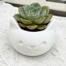 迷你3D打印多肉植物花盆，带排水孔，北欧风格小花盆，适合室内桌面、办公室和家居装饰。轻巧防碎塑料植物容器，适用于多肉植物、仙人掌、香草和盆景。可重复使用的现代园艺花盆，园艺礼品和家居装饰品。 - 花盆 - 查看 6