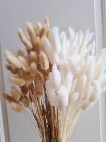 55-60 Stems Random Delivery, Approximately 16.5 Inch Faux Bunny Tail Grass In Khaki Color, Suitable For Boho Style Floral Decor, DIY Crafts, Home Kitchen And Wedding Decor, Christmas And Thanksgiving Decoration, DIY Wreath Decor - White-brown - View 2