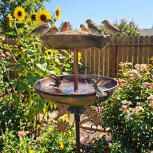 GROWSUN 1Pc Iron Bird Bath & Feeder 2-In-1, Vintage Outdoor Rust-Proof 5-Claw Stable Ground Stake, Garden Decor, Bird Drinking & Bathing Stand, Easy Clean, All-Season Outdoor & Holiday Decoration. - A - 查看 2