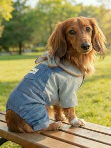 PETCIRCLE 1件宠物服装，室内外皆宜，欧美韩风，适合贵宾犬、泰迪犬、小型犬和幼犬，休闲舒适，配有领结项圈和背带裤 - 彩色 - 查看 2