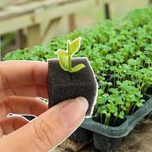 Khối xốp vuông dùng để trồng cây, khối ươm hạt, khối trồng thủy canh, dụng cụ ươm giống. Khối xốp có độ thấm cao, giữ ẩm và thoáng khí, có lợi cho sự phát triển của rễ, thích hợp cho trồng thủy canh trong nhà, ươm giống và canh tác cây con. - A - Xem 3