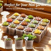 30pcs Mini Transparent Square Plastic Planter Pots With Trays And Labels Set, Suitable For Succulents, Seed Germination And Plant Propagation, Great For Indoor Planting And Greenhouse Use - One Size Fits All - View 1