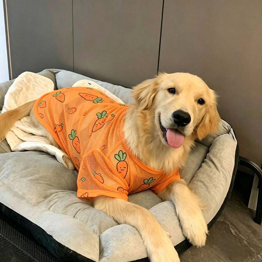 一件大型犬品种图案T恤，简约廓形设计，适合多种大型犬品种，例如金毛寻回犬、拉布拉多犬、萨摩耶犬、边境牧羊犬、哈士奇等，纯色与时尚印花相结合，打造优雅休闲的穿着体验。 - 橘色 - 查看 1
