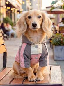 PETCIRCLE 1件宠物户外室内服装，欧韩风贵宾犬、泰迪犬、小型犬及幼犬、猫咪休闲舒适风衣 - 粉灰色 - 彩色 - 查看 2