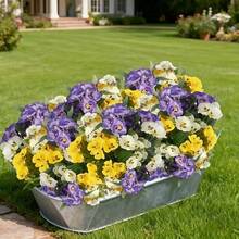 3 Bunches Of 30 Stems Artificial Double-Layer Pansy Flower Bouquet - Durable Plastic Flowers, Suitable For Indoor/Outdoor, Weather-Resistant, Vibrant White/Purple/Yellow, Garden Home Decor, Party, Room, Home, Wall, Bathroom, Bedroom, Decorations, Tabletop, Wedding - Multicolor - View 7