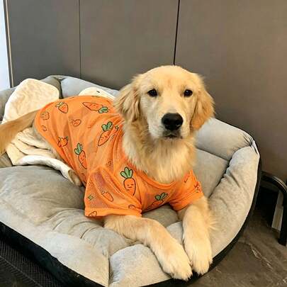 1 bộ quần áo cho chó Golden Retriever, áo thun lưới thoáng khí in hình hoạt hình dành cho chó cỡ trung bình/lớn, chống bẩn và không rụng lông, thích hợp cho mùa xuân/hè.