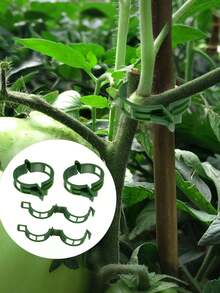 50pcs Green Plant Vine Clips, Reusable, Fix Support Traction Straightening, Suitable For Tomato, Grape, Vegetable Climbing, Suitable For Home, Balcony, Yard, Gardening, Greenhouse, Universal Plant Fixing Clips, Seedling Friendly, Easy Installation - Multicolor - View 2
