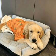 一件大型犬品种图案T恤，简约廓形设计，适合多种大型犬品种，例如金毛寻回犬、拉布拉多犬、萨摩耶犬、边境牧羊犬、哈士奇等，纯色与时尚印花相结合，打造优雅休闲的穿着体验。 - 橘色 - 查看 4
