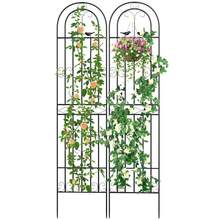 Metal Garden Trellis 220x50cm For Climbing Plants Vines Flowers Vegetables - 2 - 查看 2