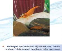 Aqueon Shrimp Tank Plus 4 Fluid Ounces - ColorA - View 6