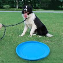 1pc Soft Non-Slip Silicone Dog Flying Disc - Suitable For Puppy Training, Lightweight Toy For Gentle Play Only, Not Suitable For Aggressive Chewers - Multicolor - View 6