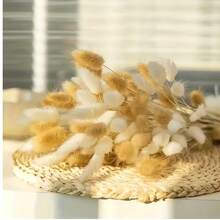 55-60 Stems Random Delivery, Approximately 16.5 Inch Faux Bunny Tail Grass In Khaki Color, Suitable For Boho Style Floral Decor, DIY Crafts, Home Kitchen And Wedding Decor, Christmas And Thanksgiving Decoration, DIY Wreath Decor - White-brown - View 6