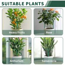 SX10 Pack Peony Cages And Supports, 10" (W) X 16"(H) Plant Support, Heavy-Duty Metal Plant Support Stakes, Plant Stakes For Outdoor & Indoor Plants, Perfect For Flowers And Vegetable - 10"x16" - Xem 5