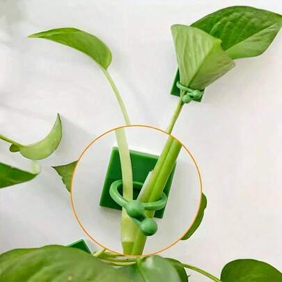 Bộ cố định tường không dấu vết, có thể tái sử dụng - Công cụ tối ưu cho tường leo cây trầu bà, kẹp giữ cây leo trong nhà không làm hư hại tường hoặc cây leo, kẹp cố định cây cảnh để tạo hình và sắp xếp cây xanh trong phòng khách và ban công.
