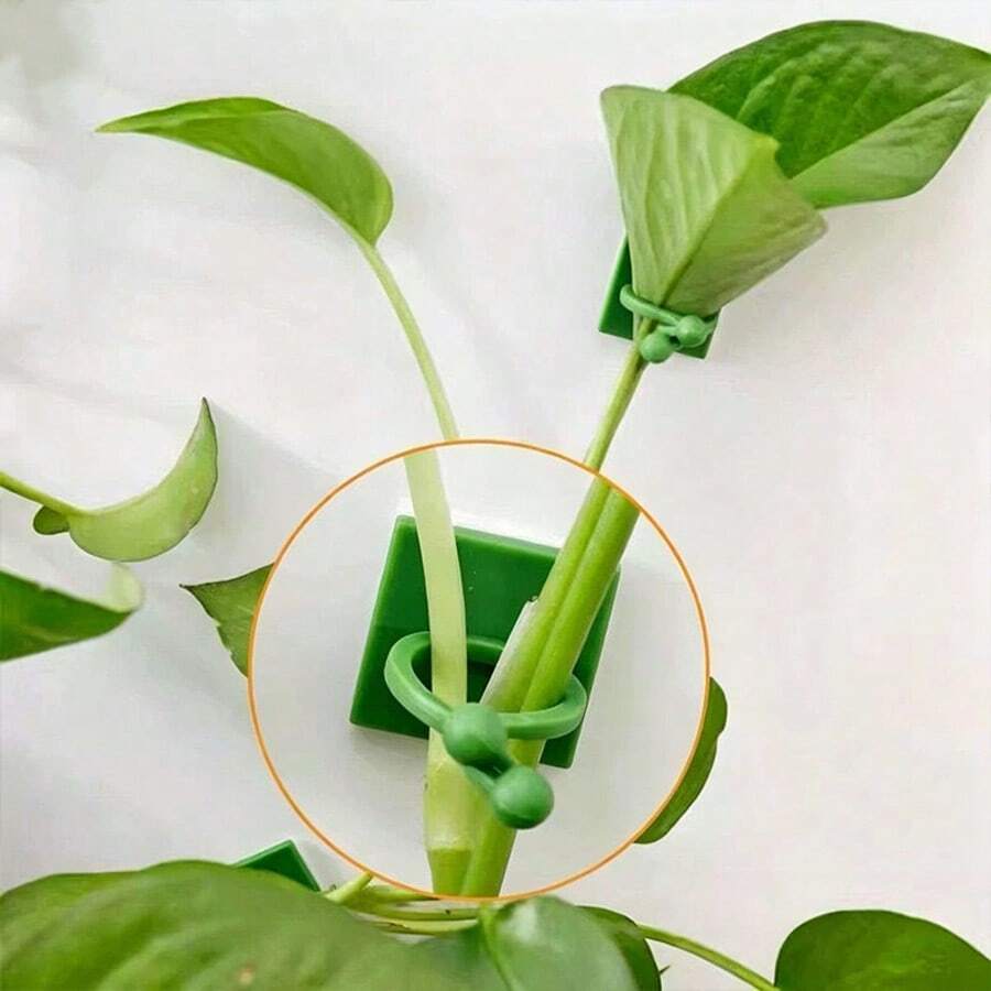可重复使用无损粘性植物攀爬固定器 - 绿萝攀爬墙壁的终极工具,室内藤蔓植物固定夹,不会损坏墙壁或藤蔓,适用于客厅和阳台绿植布置和造型园艺夹 - Plant Climbing Fixer - 查看 1