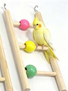 1 pieza Escalera de loro con cuentas de madera coloridas, escalera de entretenimiento con gancho para escalar de loro, adecuada para suministros de educación de aves, juguete de entretenimiento para aves domésticas, juego y descanso de aves domésticas, accesorios para jaula de aves, juguete para loro. - Talla única para todos - Ver 6