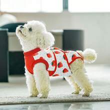 宠物术后恢复服，狗狗手术恢复套装，母犬，用于绝育手术，可替代伊丽莎白圈和伊丽莎白圈，防舔透气，适合中小型犬 - 彩色 - 查看 22