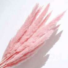 10/20pcs Artificial Cattail Decor, 17.3 Inch Mini Fake Cattail Feather Bouquet, Brown Cattail Decor, Boho Style Room Floral Decor, Wedding Vase Wreath Decor, Bedroom Decor, Boho Wedding Decor, Floor Decor, Ceremony Background Artificial Flower Bouquet, Mother's Day Gift, Birthday Anniversary Gift, DIY Wreath Decor - Pink - View 3