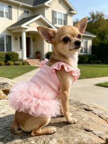Pet Dog & Cat Ruffled Sleeve Princess Dress, For Small Dogs Like Poodle, Bichon Frise, Pomeranian, Maltese, Yorkshire Terrier Etc., Birthday Party Outfit, Spring/Summer - Pink - View 19