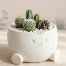 Cute Smiling Succulent Plant Potted, Mini Indoor/Outdoor Cactus Planter Suitable For Desk, Windowsill, Home & Office Decor, White/Pink/Gray - A - View 5