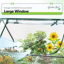 Portable Mini Greenhouse With Zipper Window 50'' X 38'' X 36'' Transparent Planter With 6 Ground Staples Outdoor Plant Gardening Greenhouse For Garden Courtyard Farmland Balcony Patio Seedling Growing - Transparent - View 4