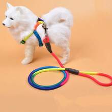 Dây dắt chó bằng nylon cầu vồng 1.2M, dây dắt đi dạo và huấn luyện, dây đeo ngực cho chó mèo, dây dắt, dây đai thắt lưng. - Nhiều màu - Xem 2