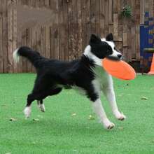1pc Soft Non-Slip Silicone Dog Flying Disc - Suitable For Puppy Training, Lightweight Toy For Gentle Play Only, Not Suitable For Aggressive Chewers - Multicolor - View 8