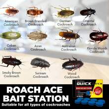 Cockroach Bait Station, Pest Control And Roach Elimination For Kitchen & Home, Effective Insecticide Cleaner - A - View 3