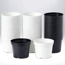10 chậu nhựa tròn nhỏ dùng để ươm cây mọng nước – Chậu ươm cây nhẹ, tái sử dụng được, thích hợp trồng cây trong nhà, ươm hoa nhỏ và trồng xương rồng. - A - Xem 1
