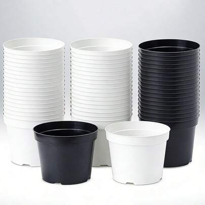 10 chậu nhựa tròn nhỏ dùng để ươm cây mọng nước – Chậu ươm cây nhẹ, tái sử dụng được, thích hợp trồng cây trong nhà, ươm hoa nhỏ và trồng xương rồng.