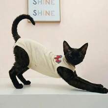 Áo vest không tay thêu hình mèo Sphynx, trang phục mùa hè nhẹ, thoáng khí cho mèo không lông, có thể giặt, bảo vệ bụng. - Màu be - Xem 10