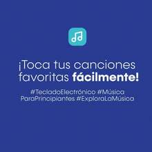 Teclado Musical Latin Keyboard PA-30 De 61 teclas sensibles al tacto - Negro - Ver 5