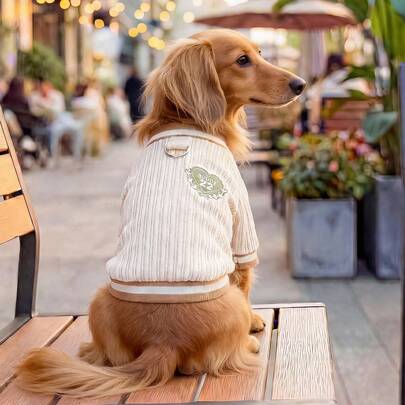 PETCIRCLE 1件宠物狗衣服，室内外皆宜，欧美韩风，适合贵宾犬、泰迪犬、小型犬和幼犬，休闲时尚可爱舒适