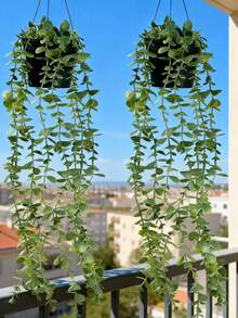 1/2 件仿真植物，悬挂式盆栽，墙面悬挂架装饰，适用于室内、室外、客厅置物架装饰、家居装饰、房间装饰、花园装饰、墙面装饰 - 彩色 - 查看 6